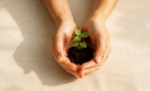 Service-Fertility & Preconception